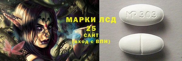 прущие грибы Белокуриха