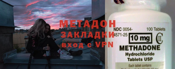 прущие грибы Белокуриха