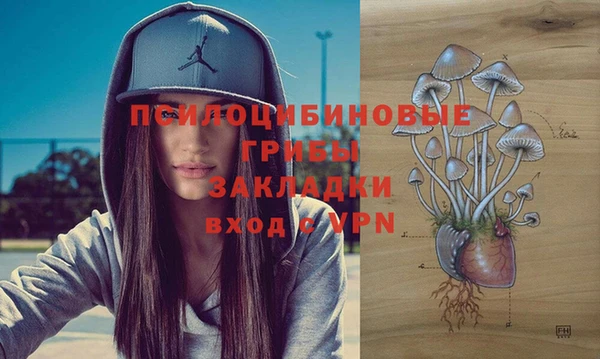 эйфоретик Беломорск