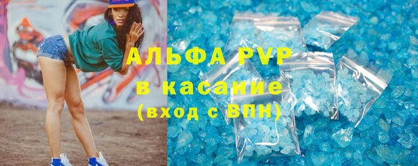 прущие грибы Белокуриха