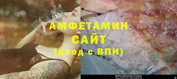 прущие грибы Белокуриха