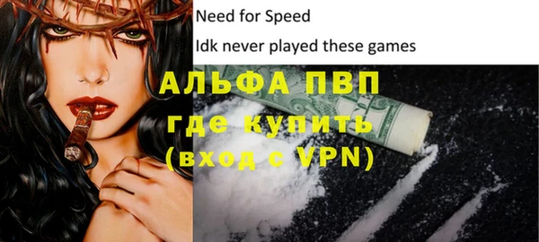 прущие грибы Белокуриха