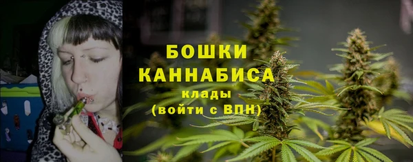 эйфоретик Беломорск